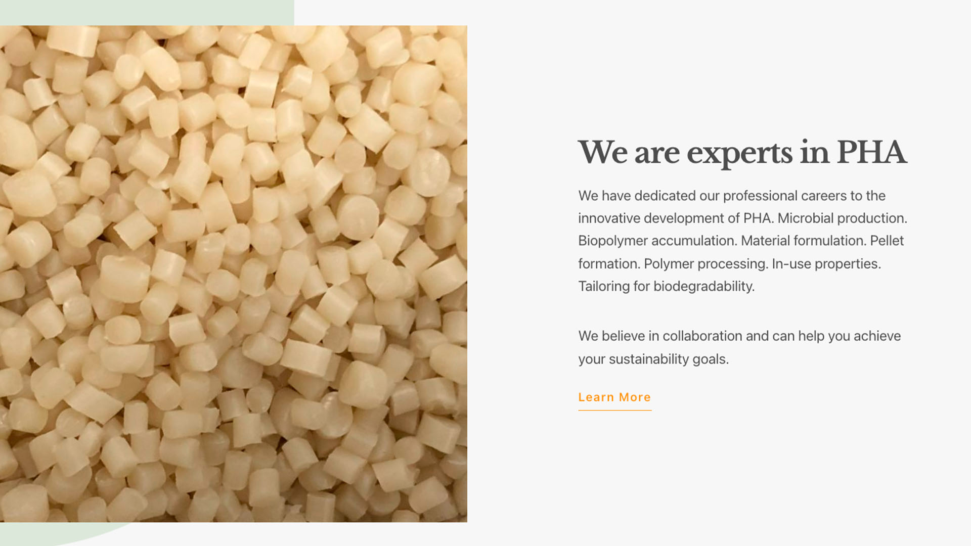 Cover image for Startups Building a Sustainable Society (3): Mango Materials Produces Bioplastics from Methane